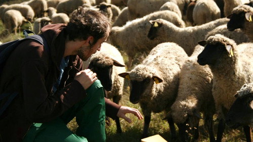 Between the valleys, between the hills. In the footsteps of the future sound of Slovakia.