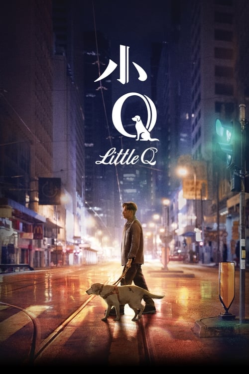 小Q (2019) poster