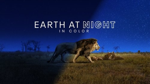 Earth at Night in Colour