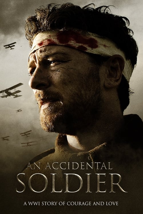 An Accidental Soldier (2013) poster