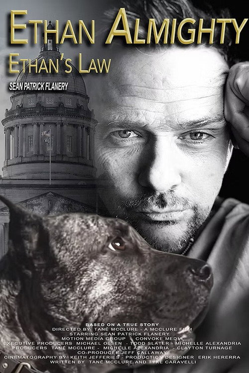 Ethan Almighty – Ethan’s Law poster