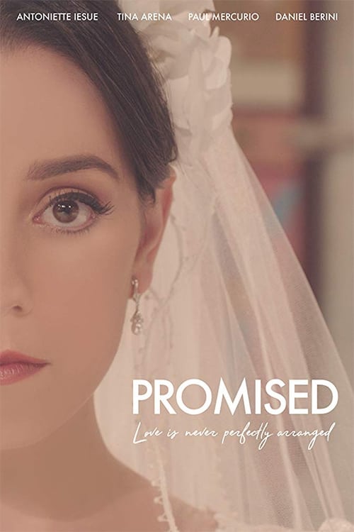Largescale poster for Promised