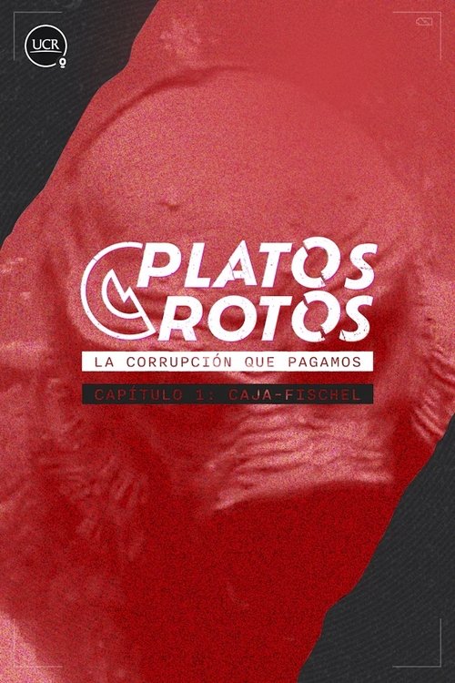Platos Rotos: Caso Banco Anglo