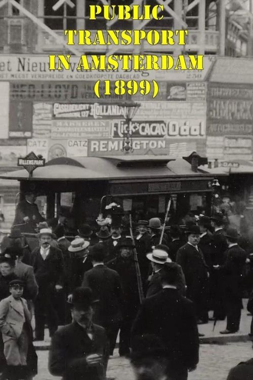 Public Transport in Amsterdam