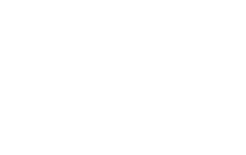 Stinsen Brinner