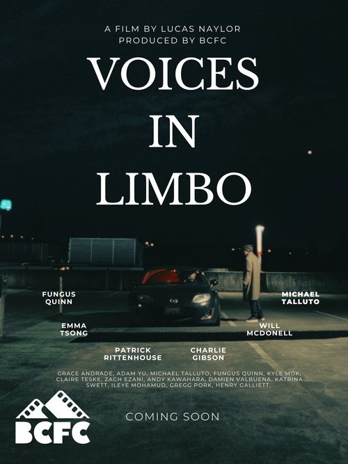 Voices In Limbo