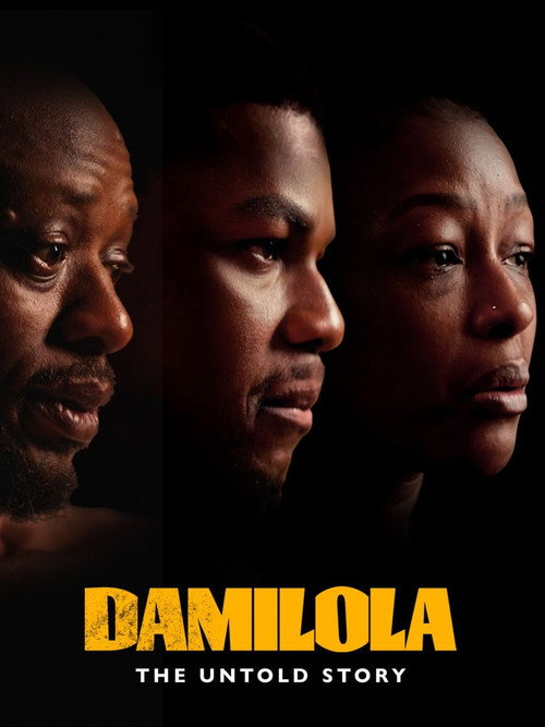 Affiche de Damilola Taylor: The Untold Story