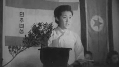 38th Parallel Backdrop Blur