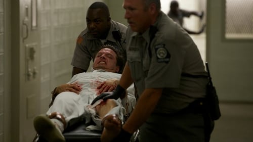 Rectify: 1×5