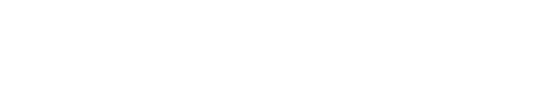 The Invasion