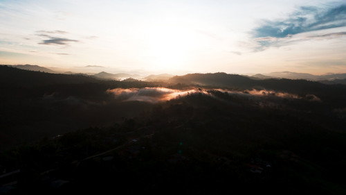 Thai Street Food: Best Kept Secrets