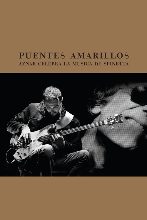 Pedro Aznar - Puentes Amarillos (2012) poster