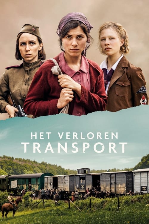 Lost Transport (2022) poster