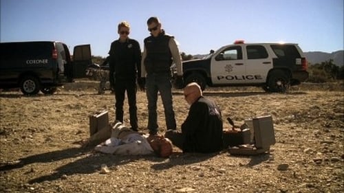 CSI: Crime Scene Investigation: 11×12