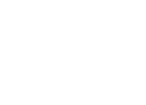 Love Life