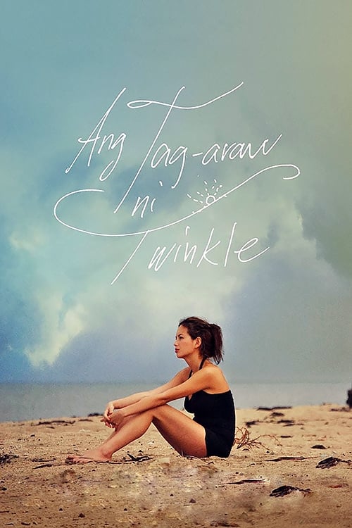 Ang Tag-araw ni Twinkle (2013) poster