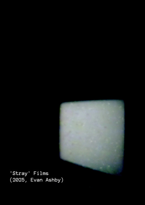 'Stray' Films poster