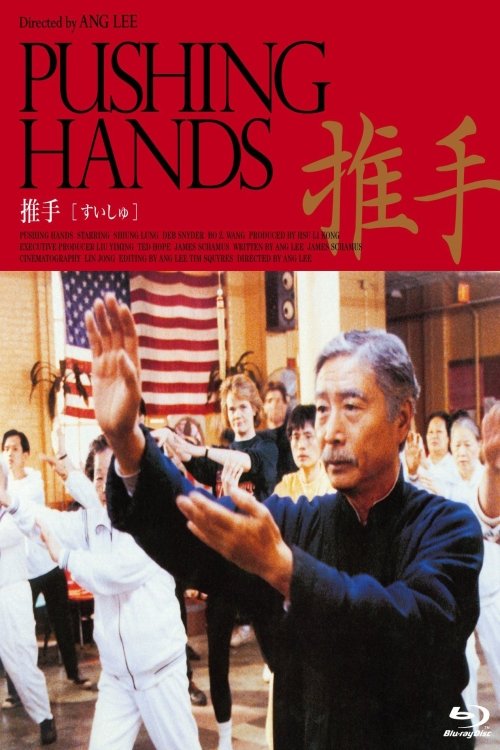 推手 movie poster player