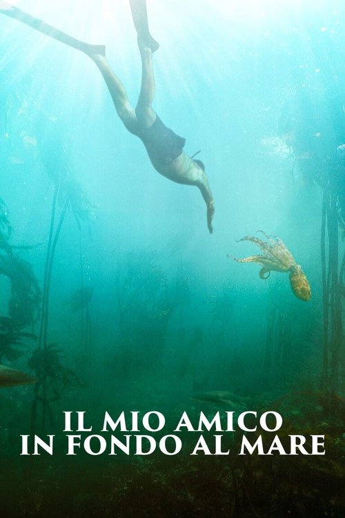 Il mio amico in fondo al mare movie poster player