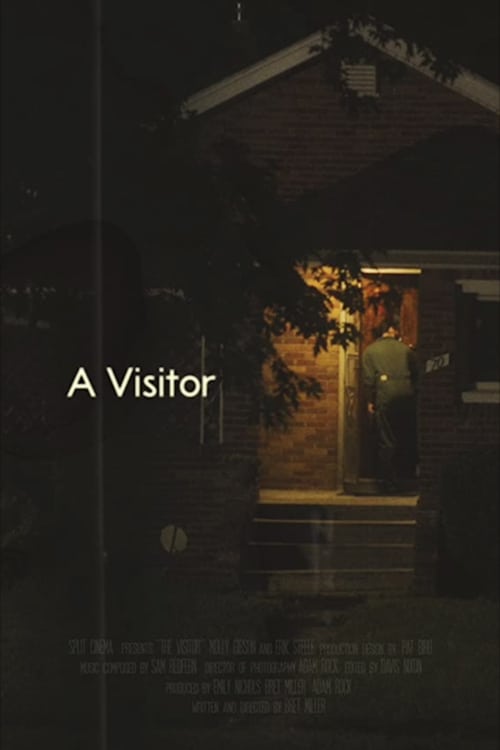 A Visitor Movie Poster Image