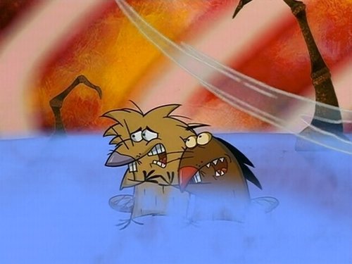 Image de l'épisode 5