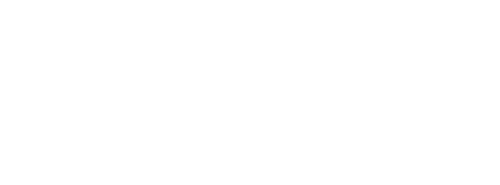 The Perfect Patient