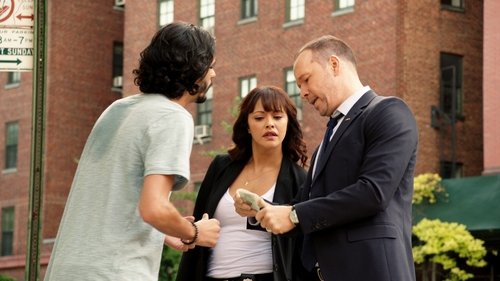 Sangue Azul / Blue Bloods: Sangue Azul Episódio 1