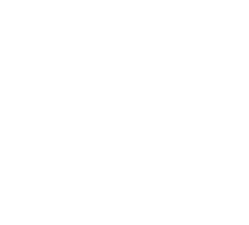Le Beau Rôle