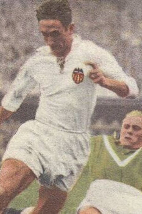 Faas Wilkes