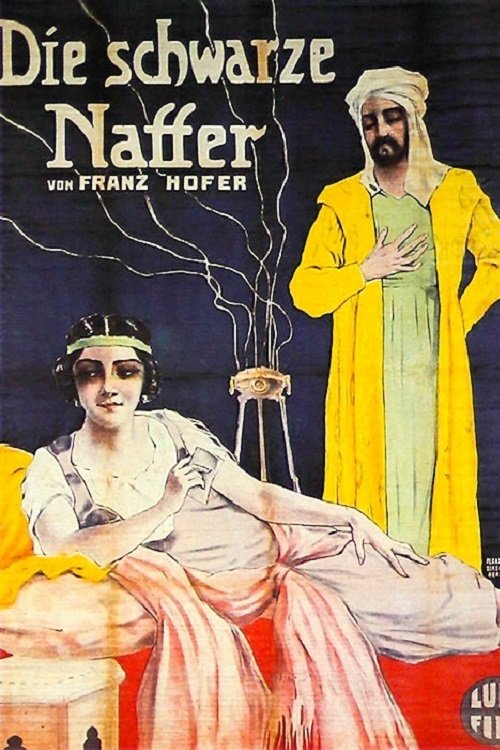 Two agents from different sides are working in a circus, one - the Schwarze Natter (Black Adder)- as a dancer, the other as a horseback artist. The Schwarze Natter is informed that the other is receiving information by one of the visitors this night, who is also in love her. She is trying to get him and the information herself, making it look like the other side has her finger in this incident. But an officer of the local police had an eye on them, because some things happening before made him suspicious and starts playing his little game.