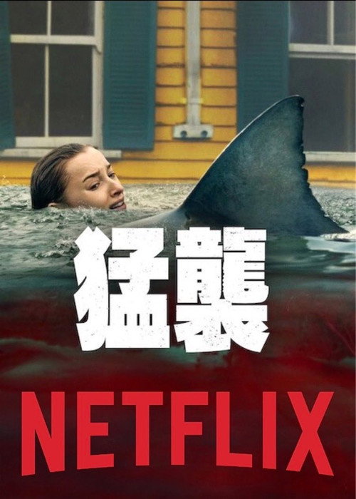 猛襲のポスター