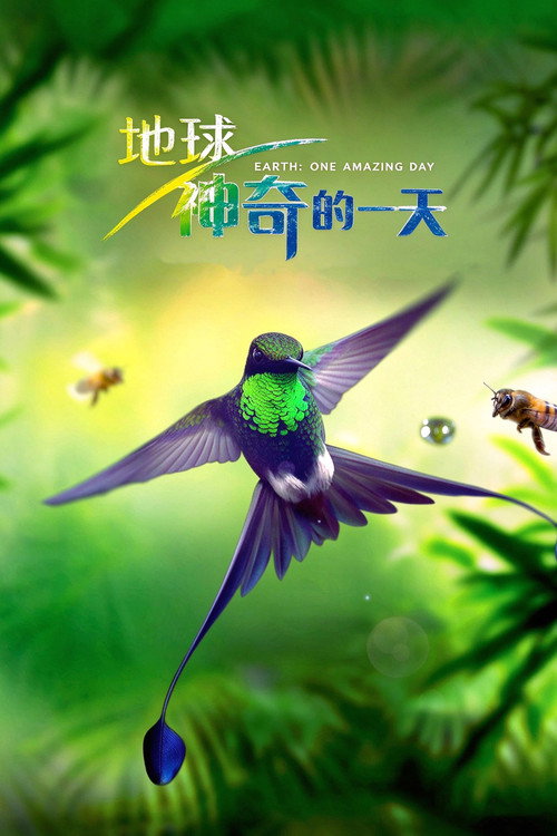 地球：神奇的一天 - related title