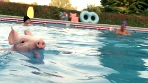 Image de l'épisode 10