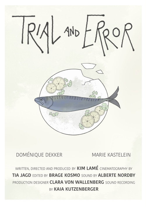 Cartell de Trial and Error