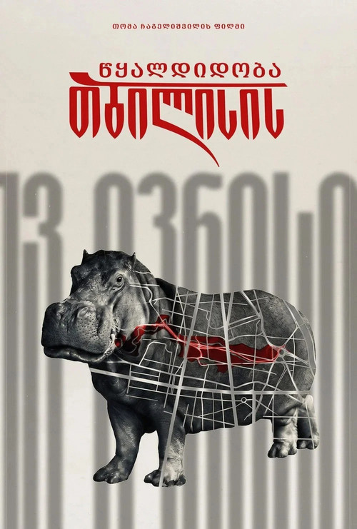 თბილისის წყალდიდობა
