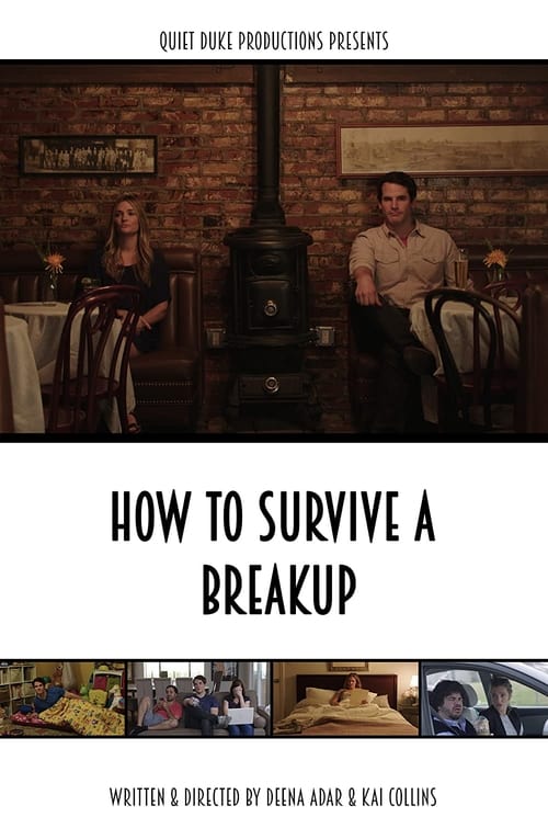 How to Survive a Breakup poster