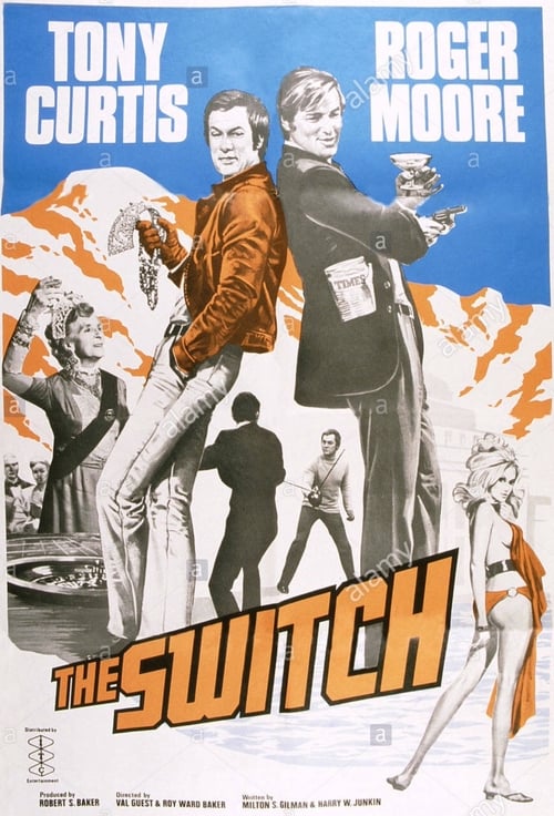 The Switch poster