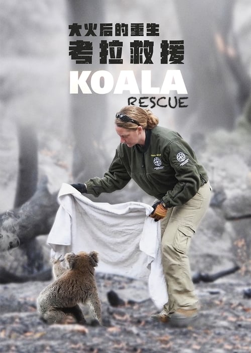 Koala Rescue (2020)