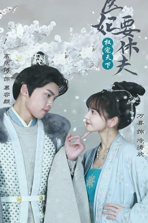 权宠天下:医妃要休夫