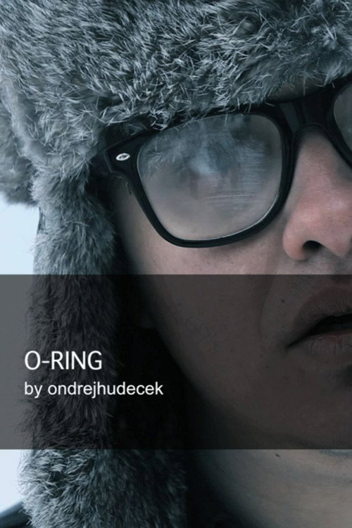O-Ring