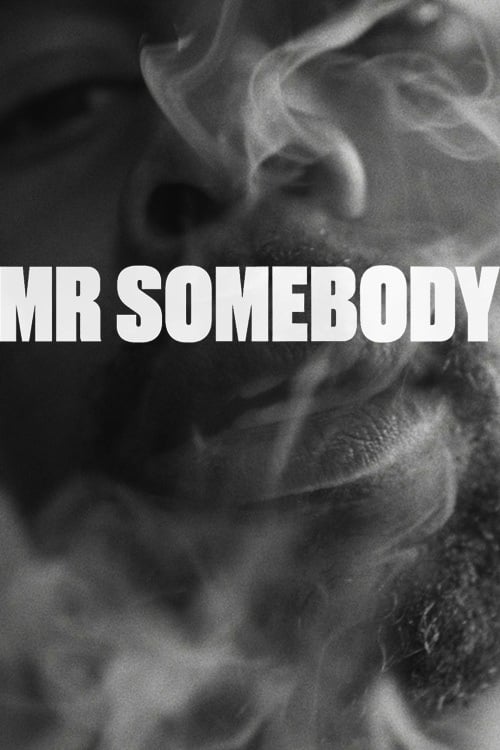 Mr Somebody (2019) poster
