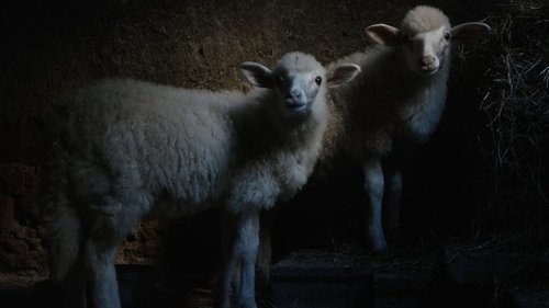 Agnus Dei
