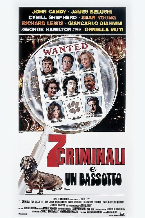 7 criminali e un bassotto movie poster player