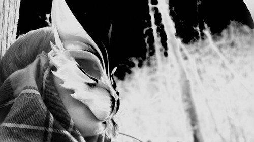 Cold Days From the Treetops — Fondos 13