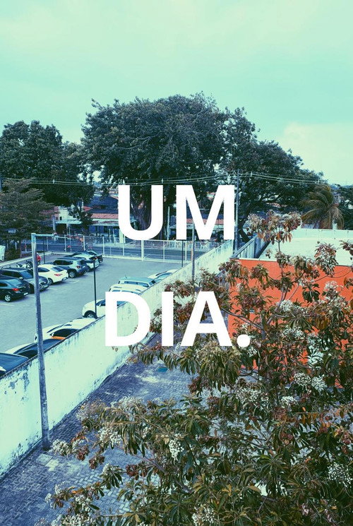 Um Dia