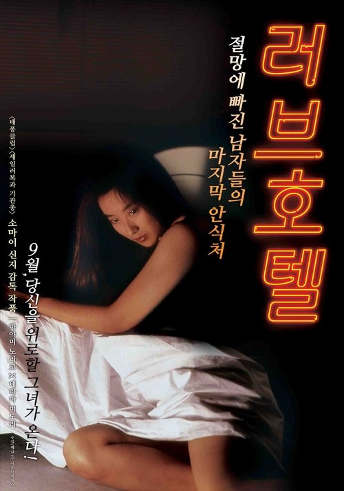 Love Hotel poster