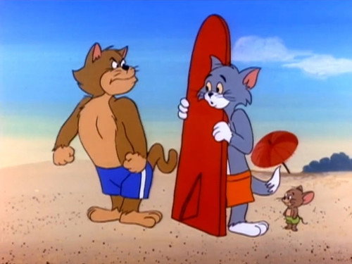 Beach Bully