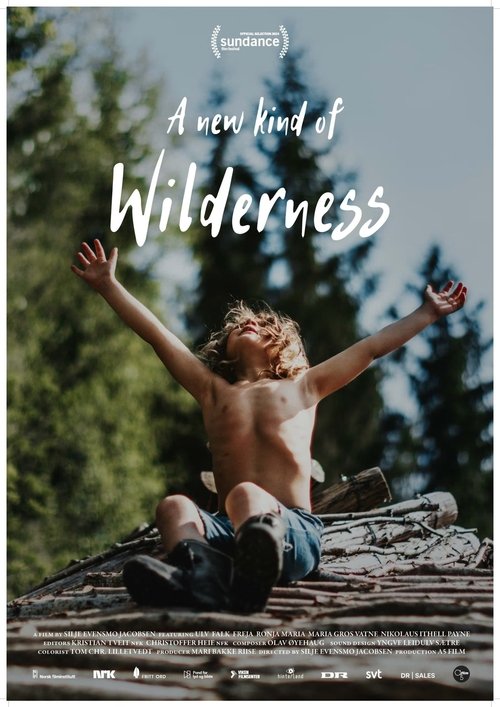A New Kind of Wilderness poster