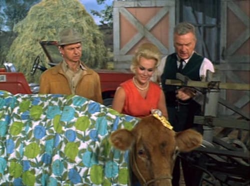Green Acres, S01E12 - (1965)
