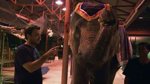 Image de l'épisode 12